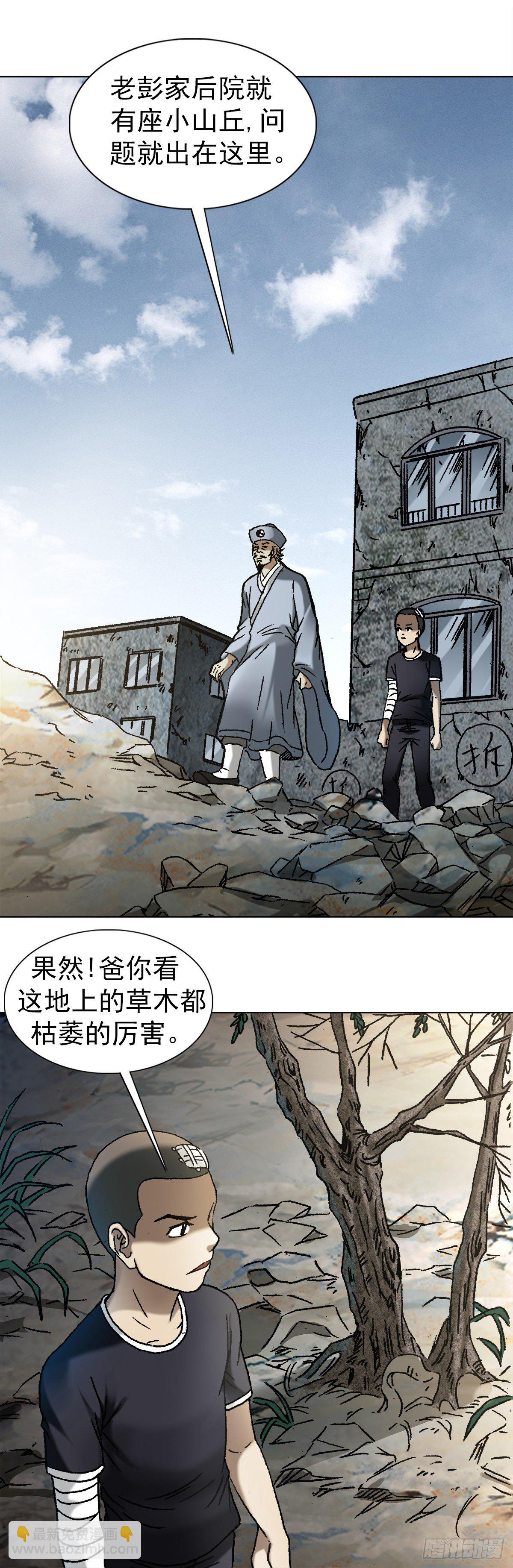 1149 老槐树5
