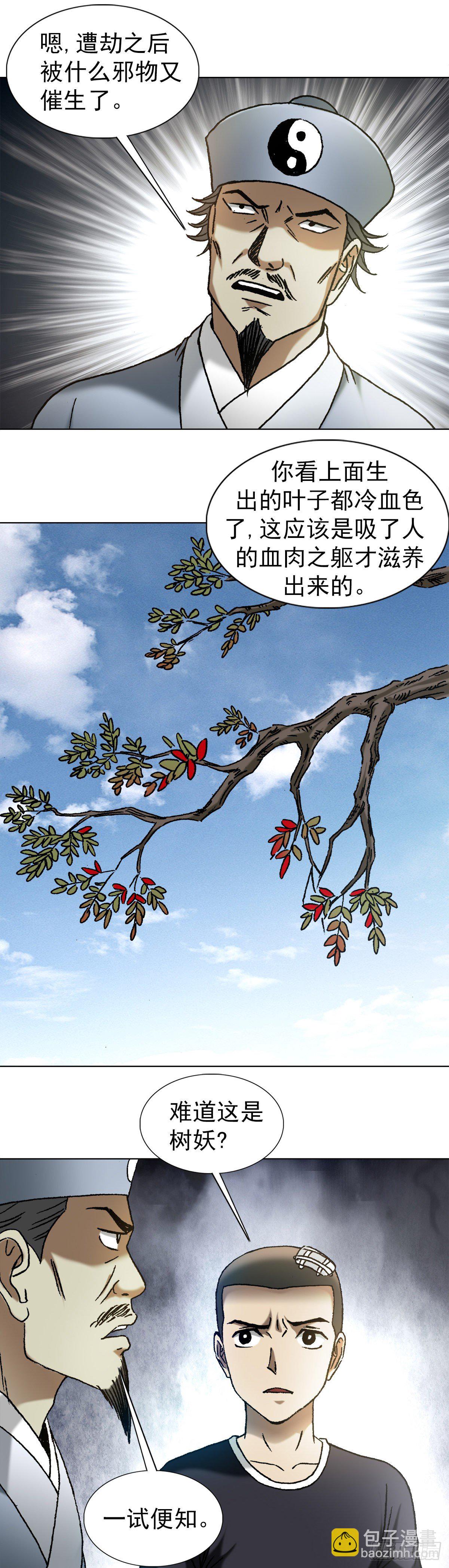 1149 老槐树8