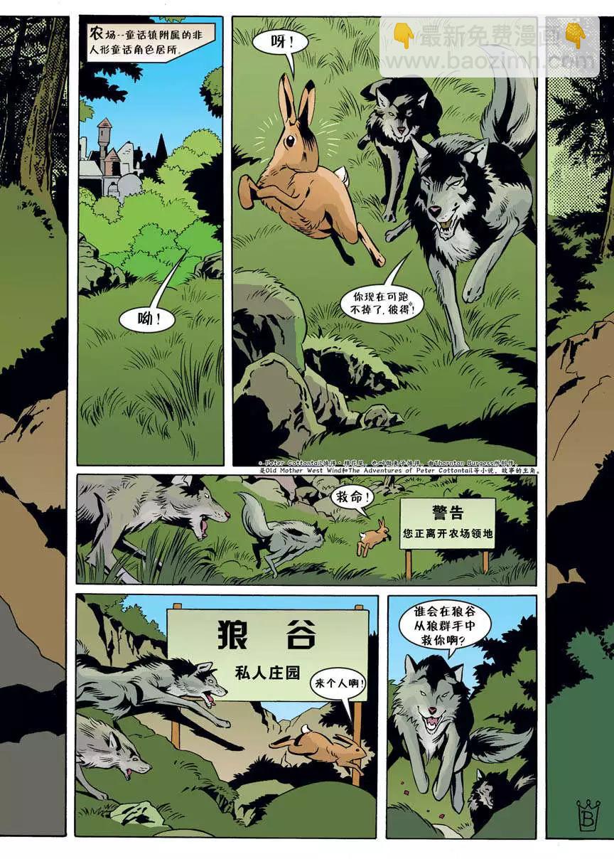 第53卷13