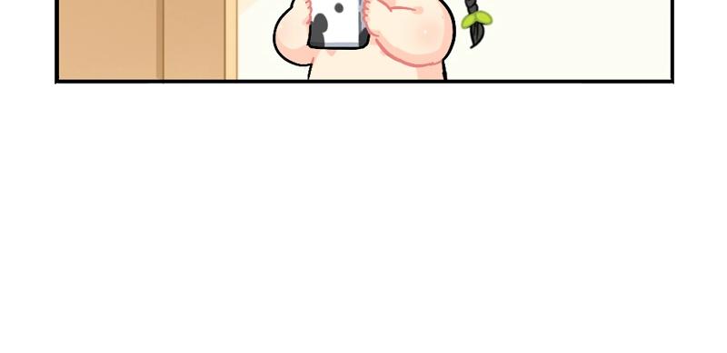 番外 元旦快乐12