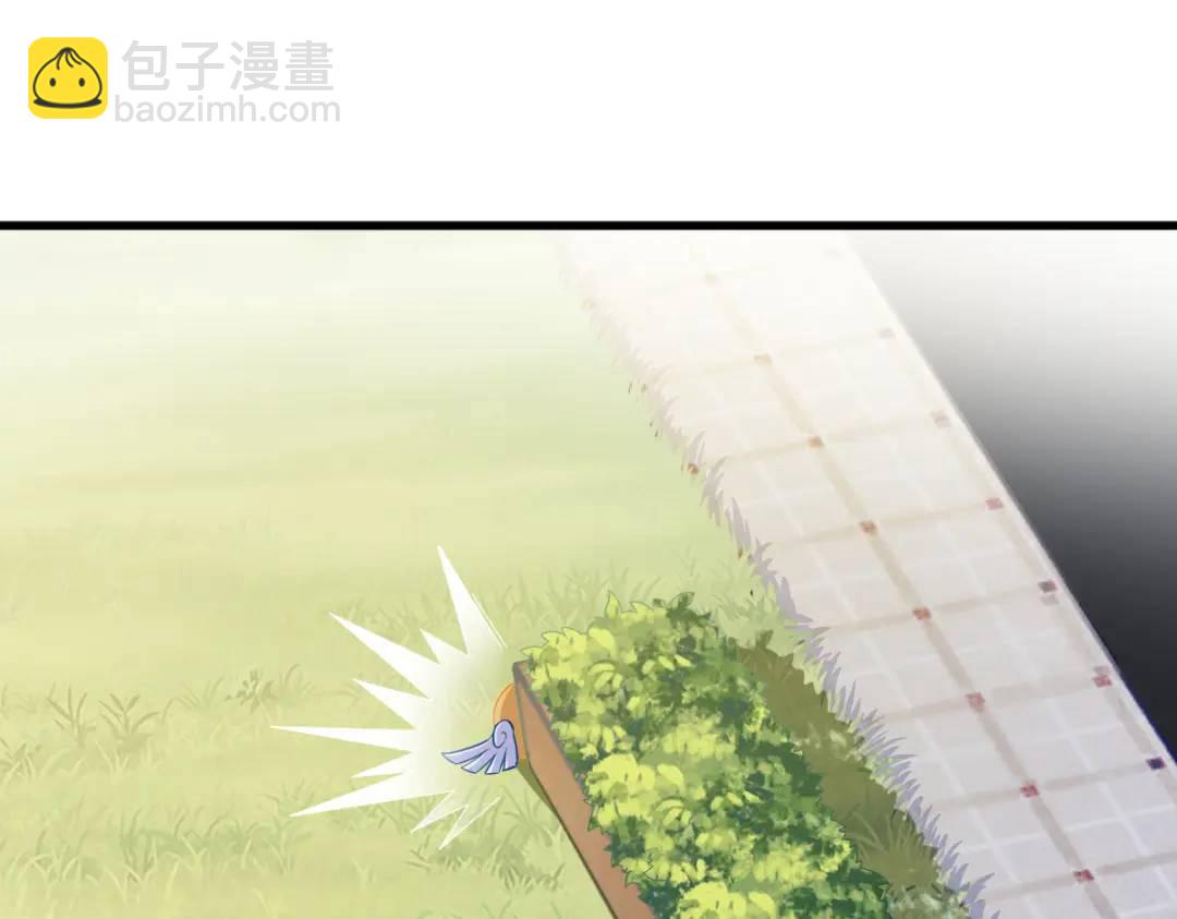 51 三年前就坏了33
