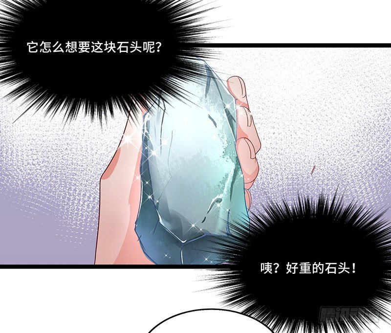 第34话 谜之石头12