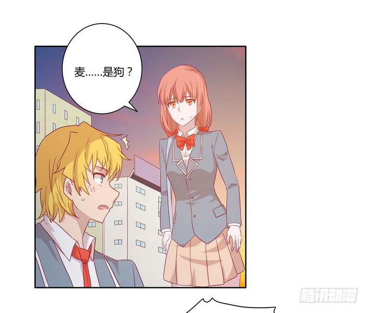 去死吧！傻狗！1