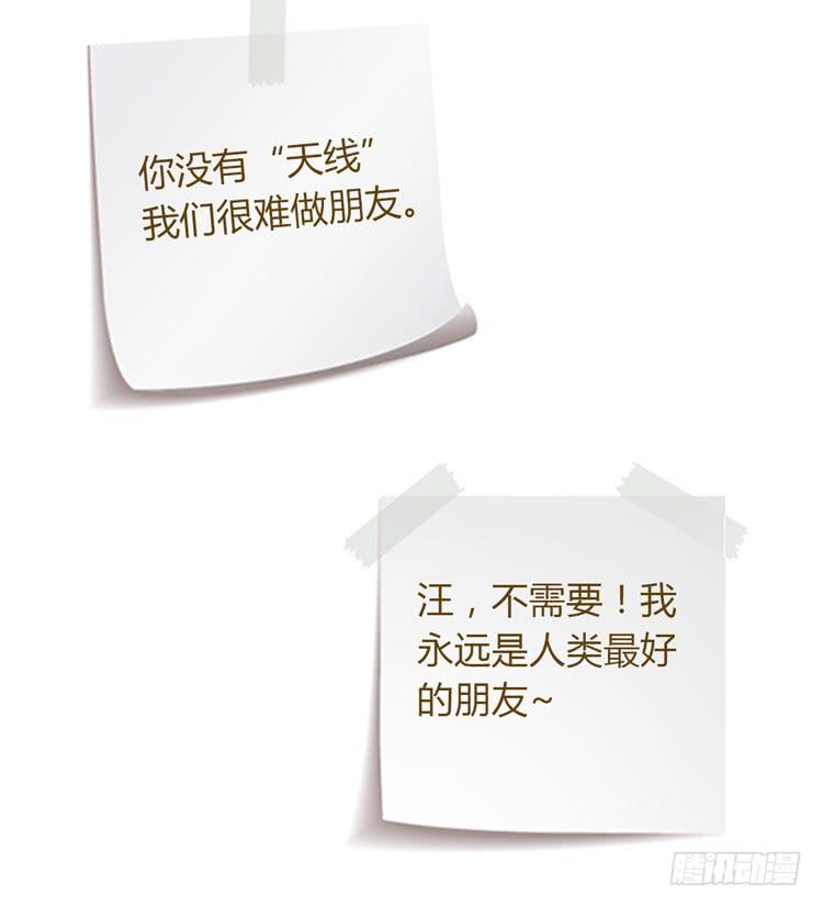 我一定会找到你！66