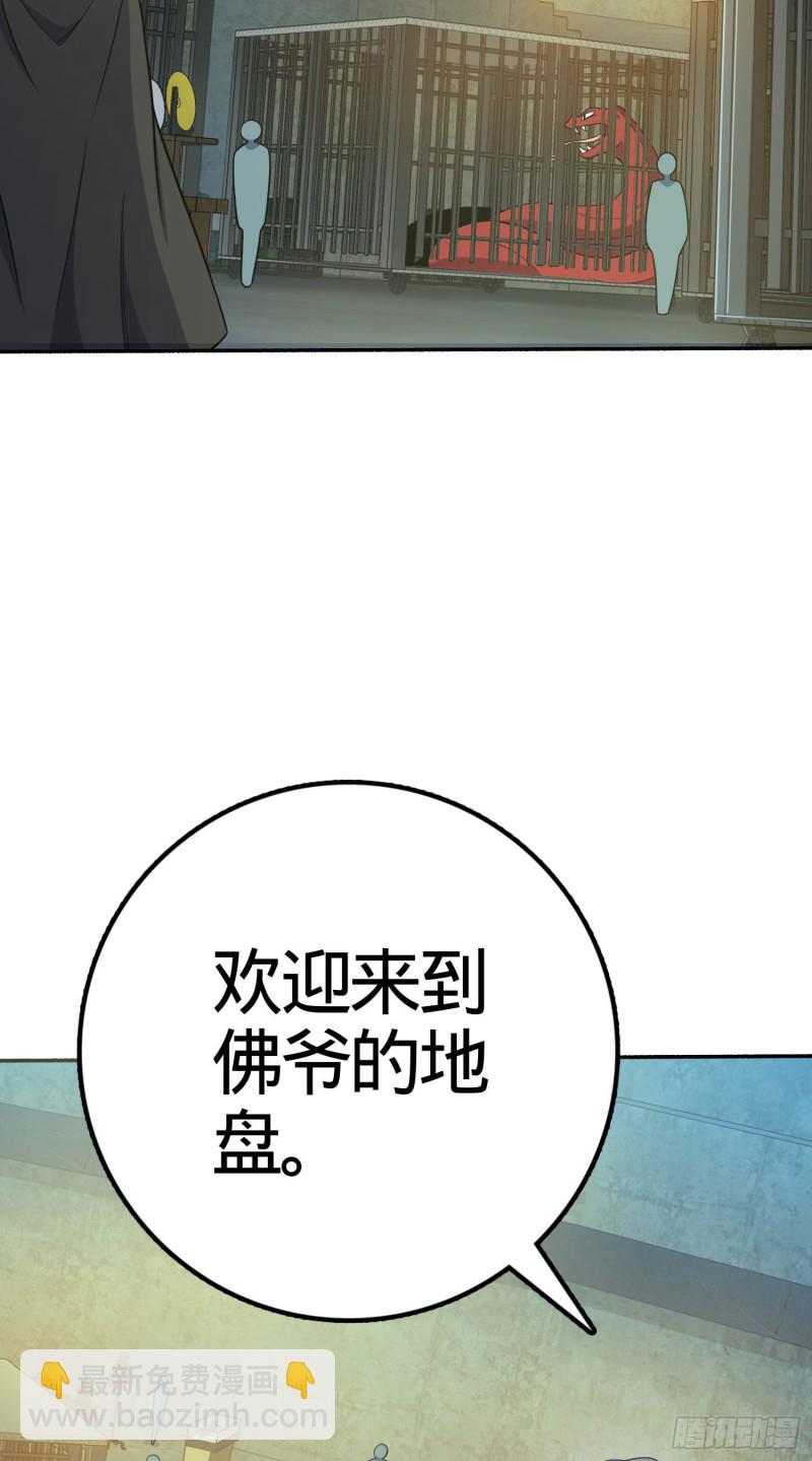 263 佛爷64