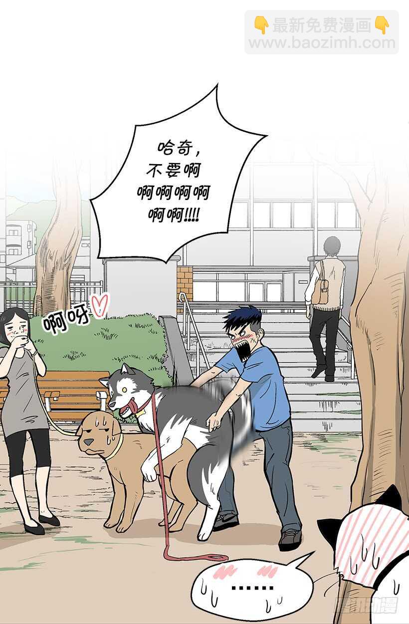 她们想当皇妃2