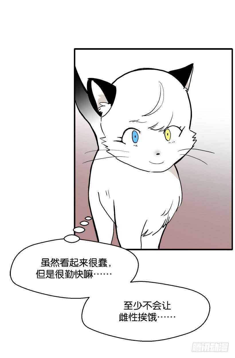 她们想当皇妃7