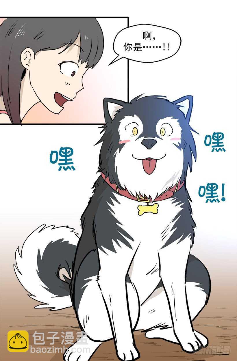 只是噩梦11