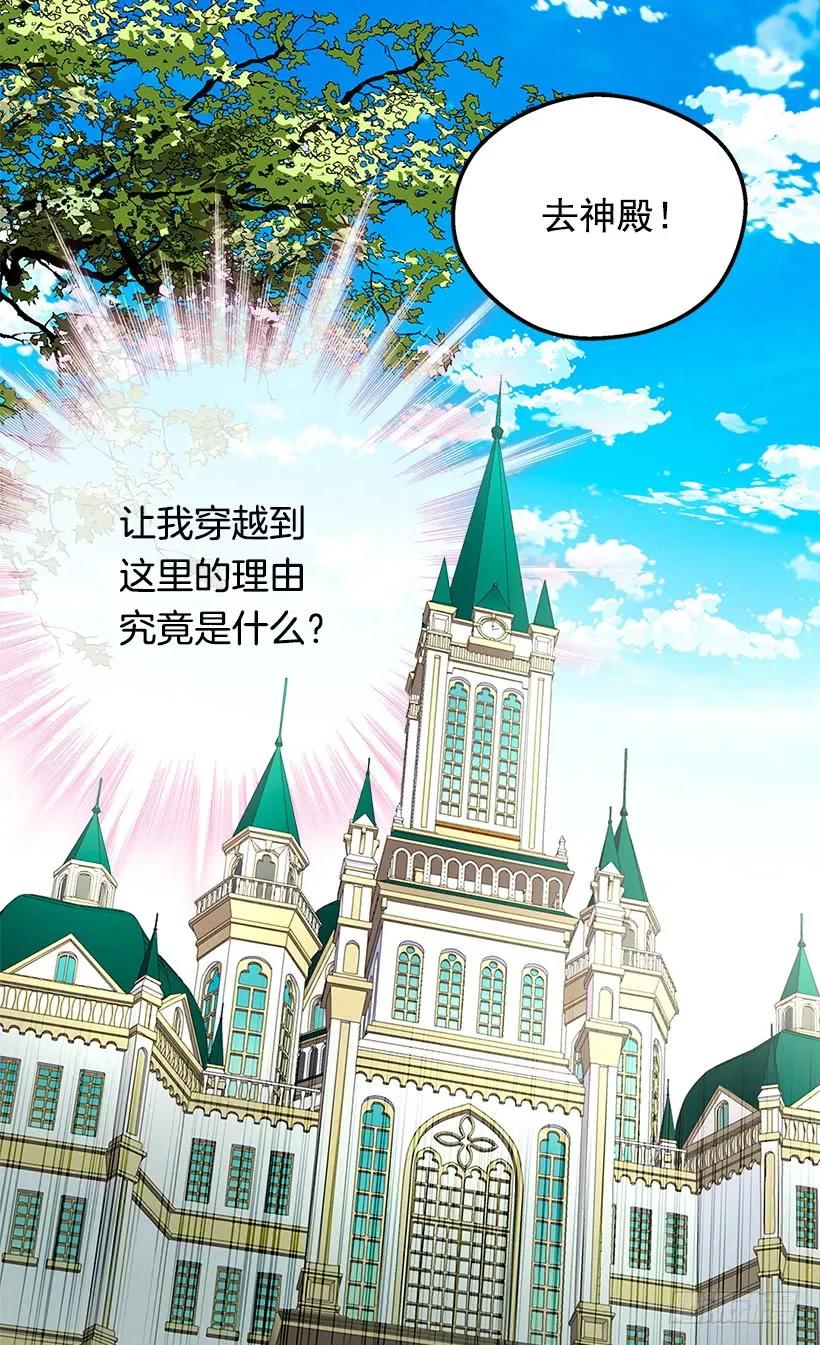 命运的齿轮59