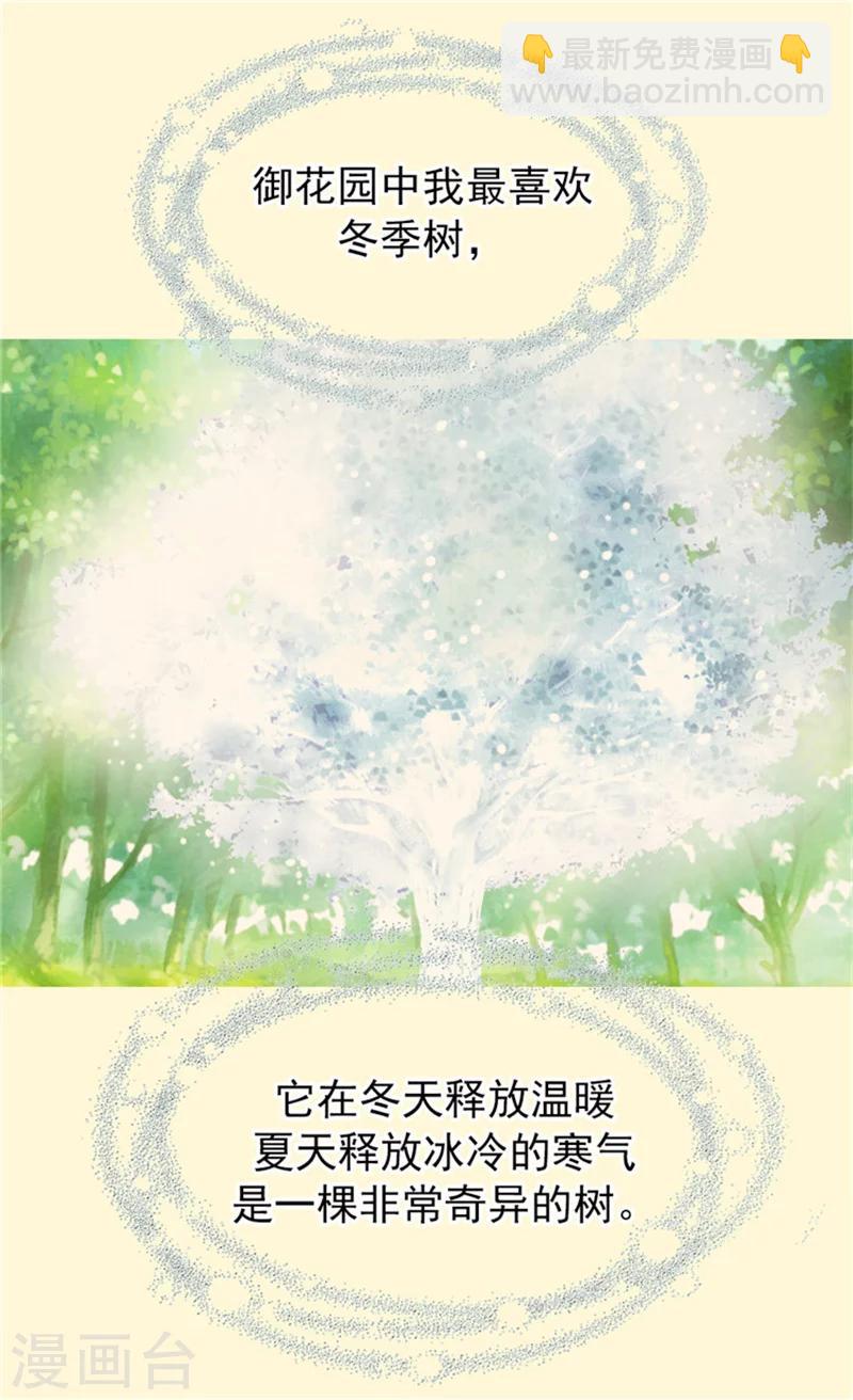 第60话 冬季树1
