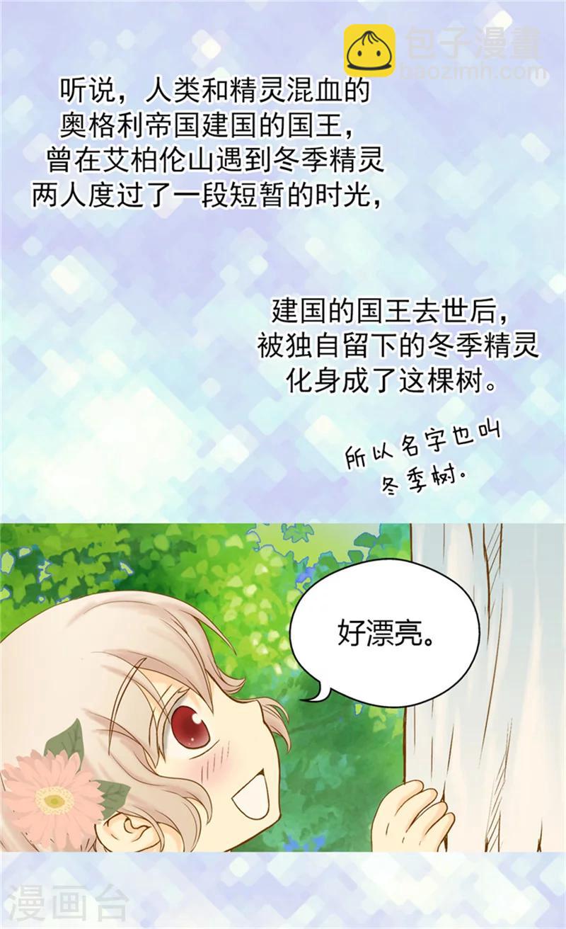 第60话 冬季树2