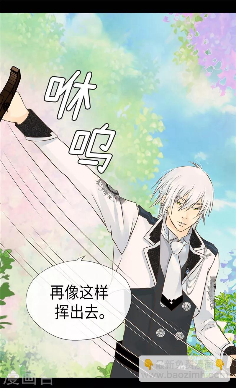 第204话 骑士大人亲传剑术14