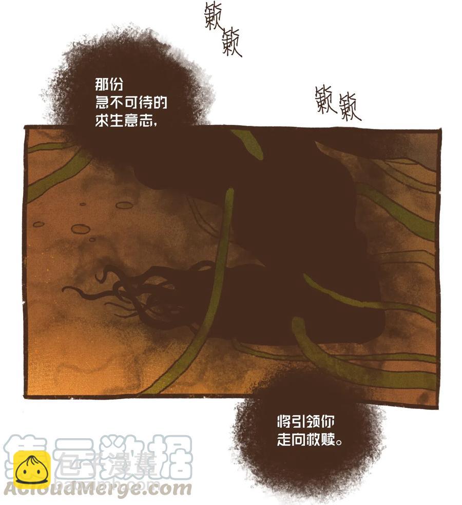 73 最终判决38