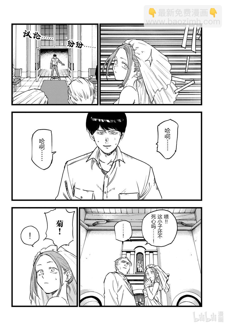 100 星见菊11