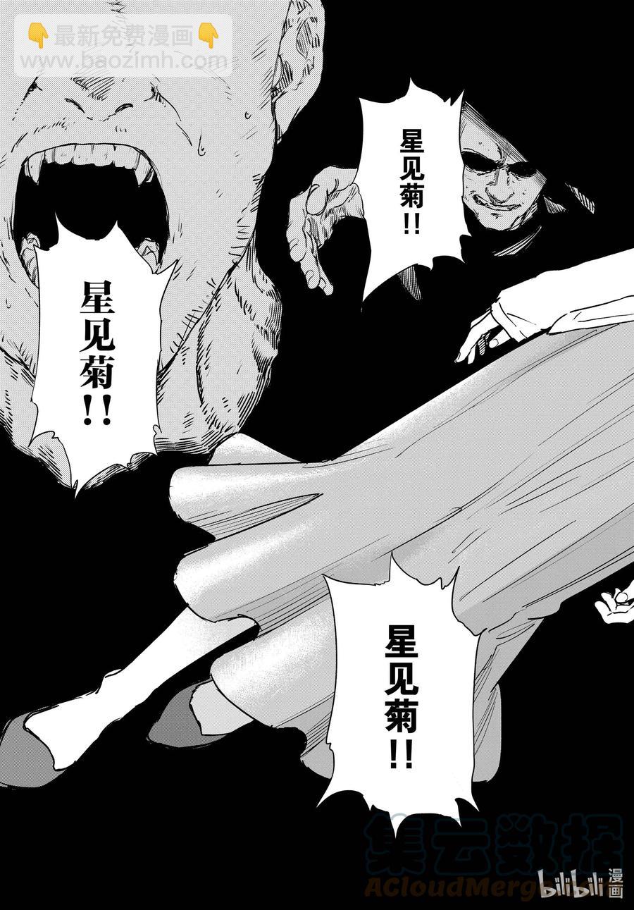 100 星见菊16