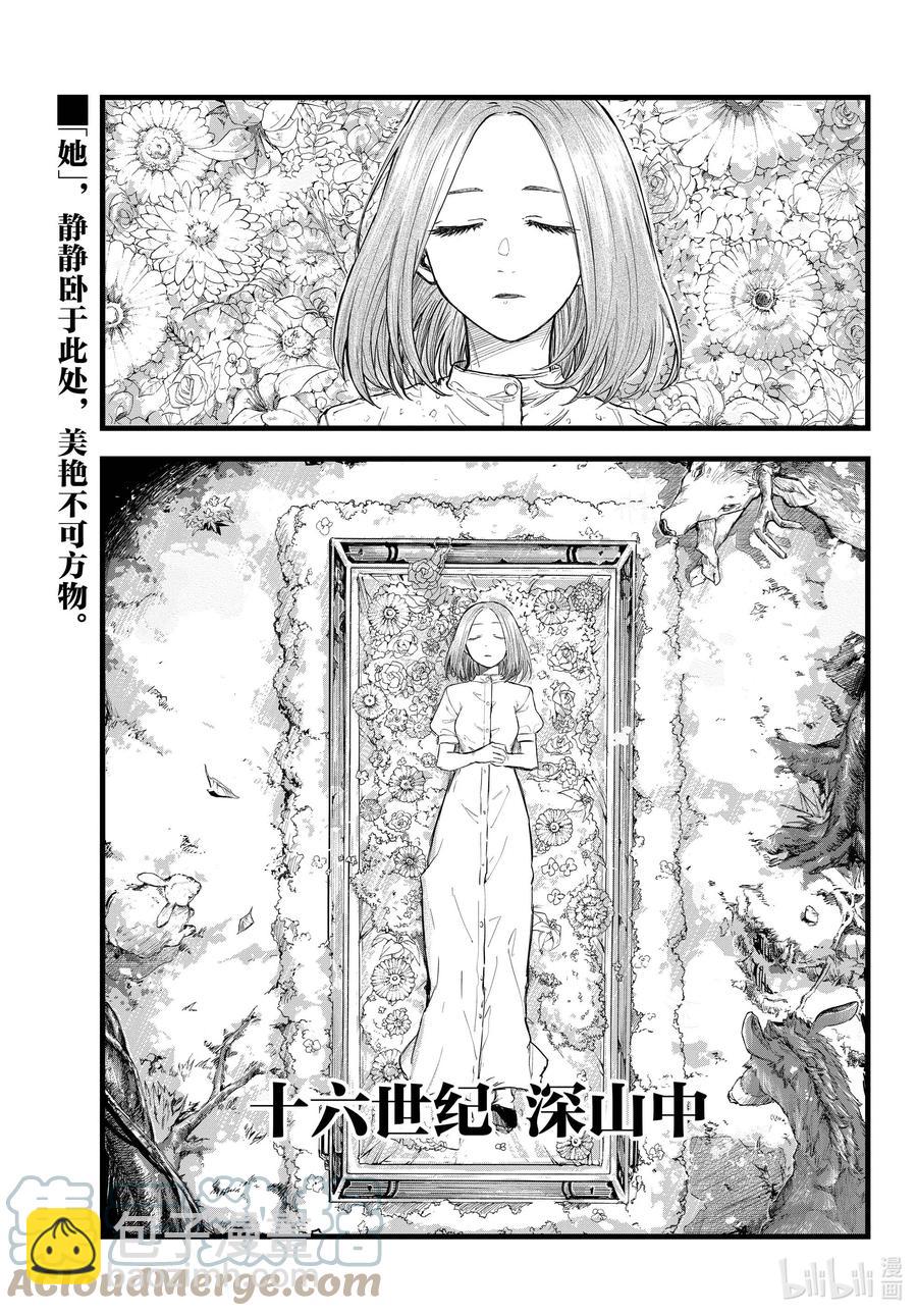 100 星见菊2