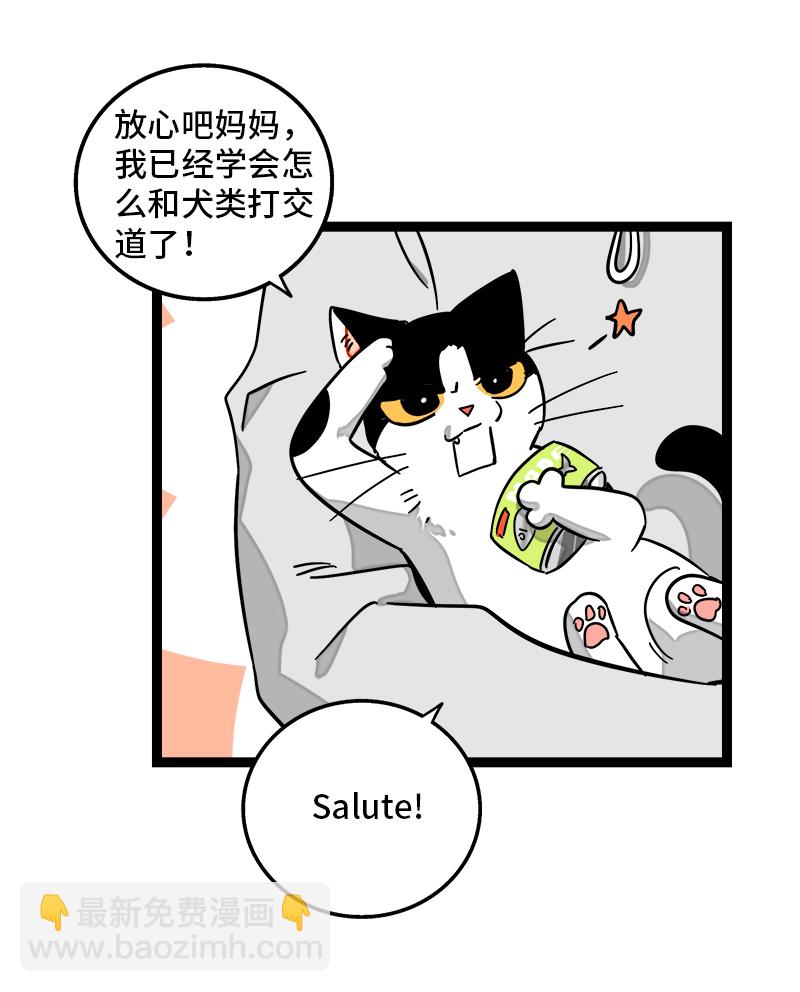 第94话 就地过年33