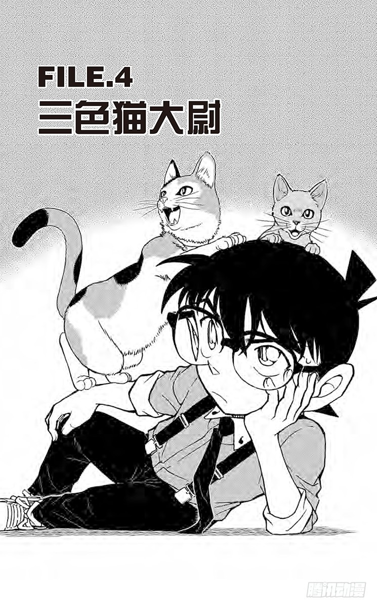 FILE.4 三色猫大尉0