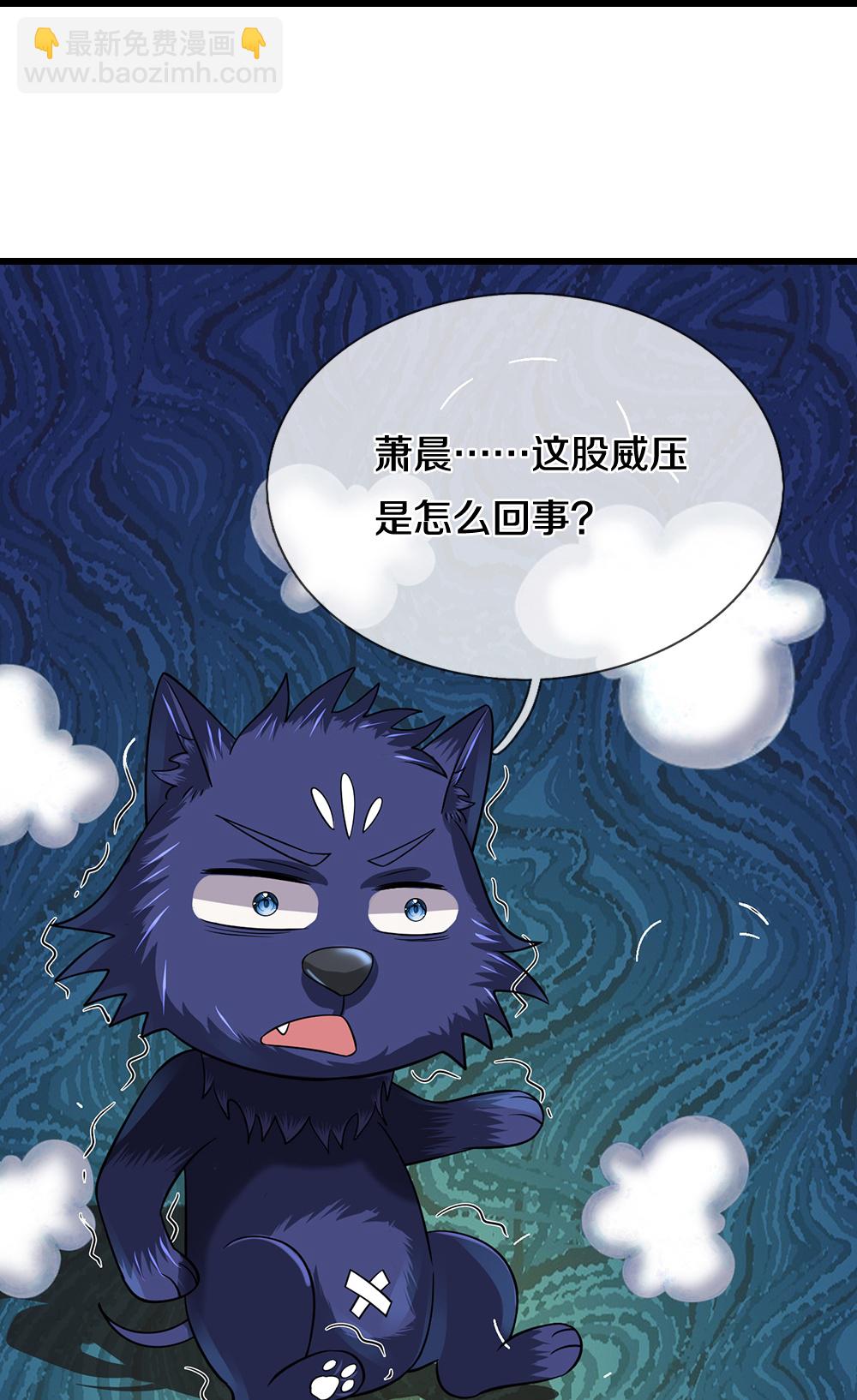 第577话 神识空间13
