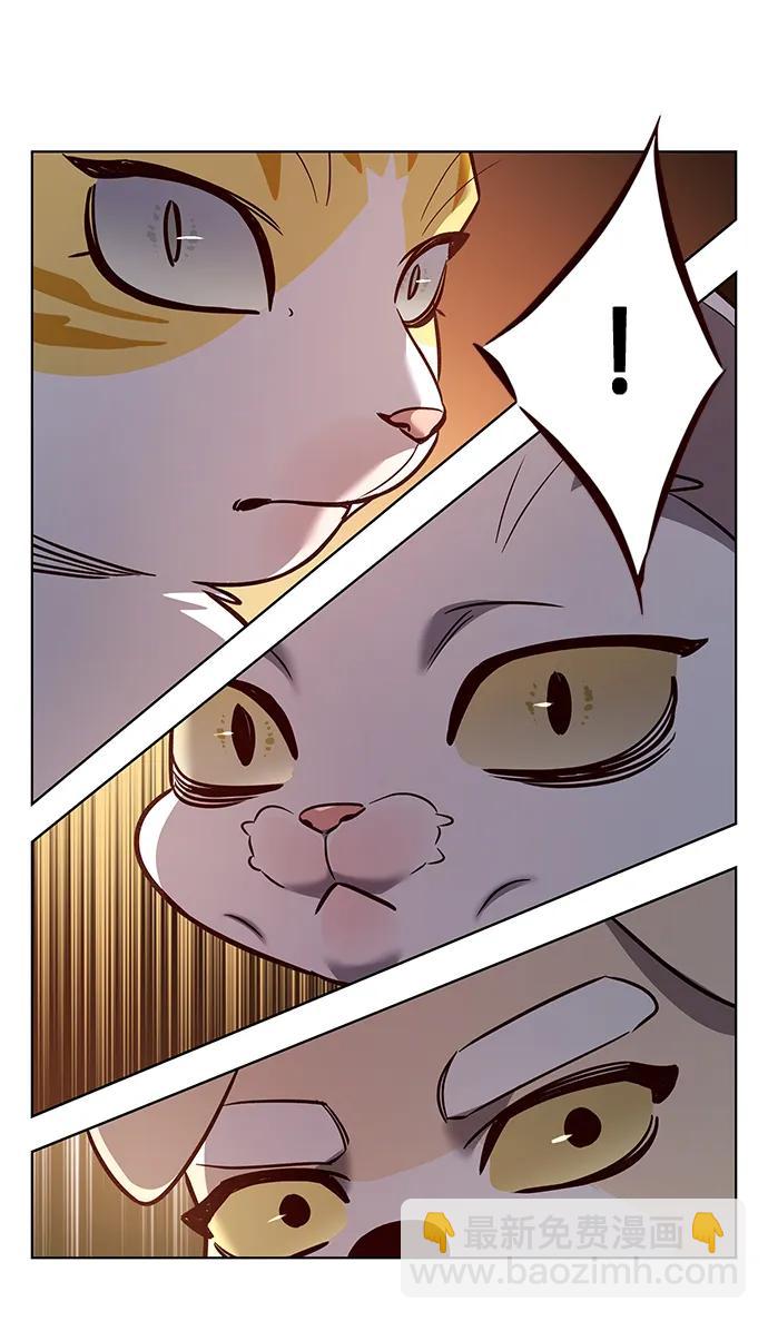 第325话40
