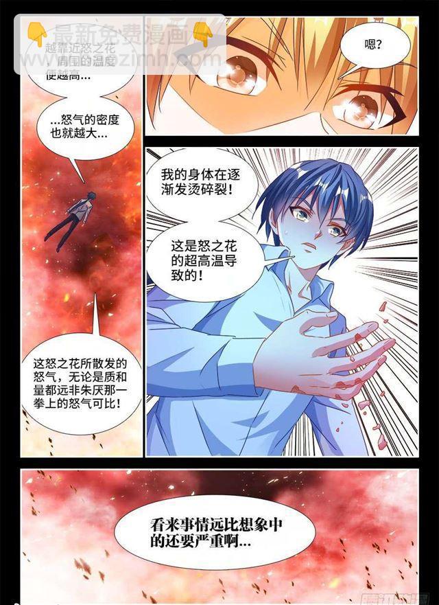 378、怒之花5