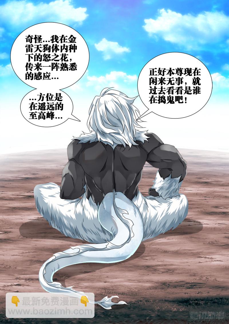 608、飞盘11