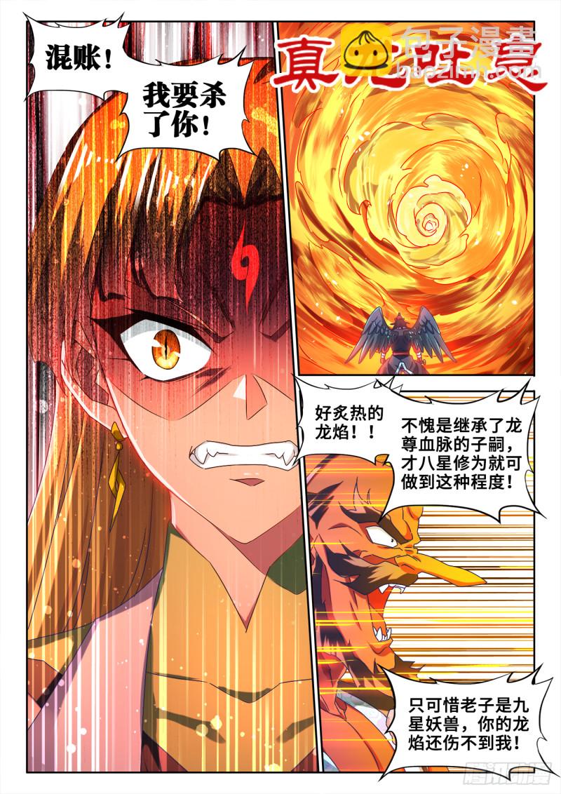 608、飞盘6