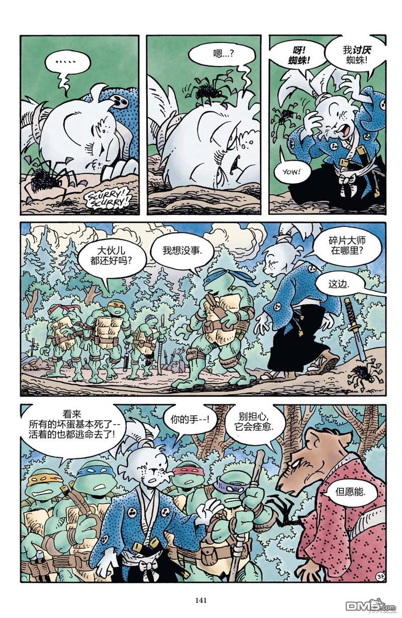 龟兔联动201736