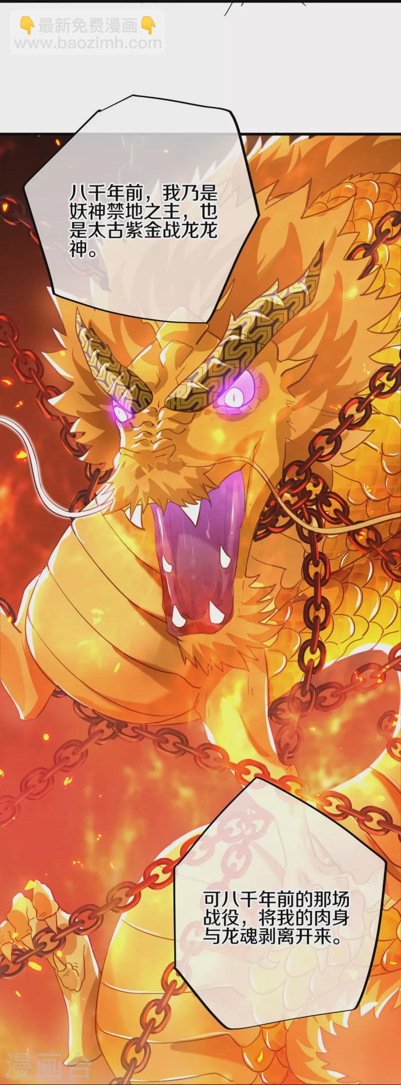 第514话 紫金战龙35