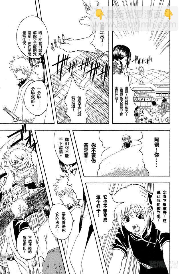 第72话 遛狗请保持适当的速度14