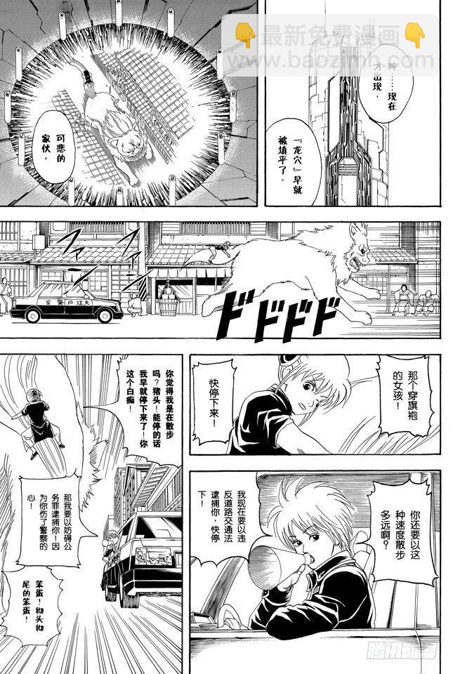 第72话 遛狗请保持适当的速度6