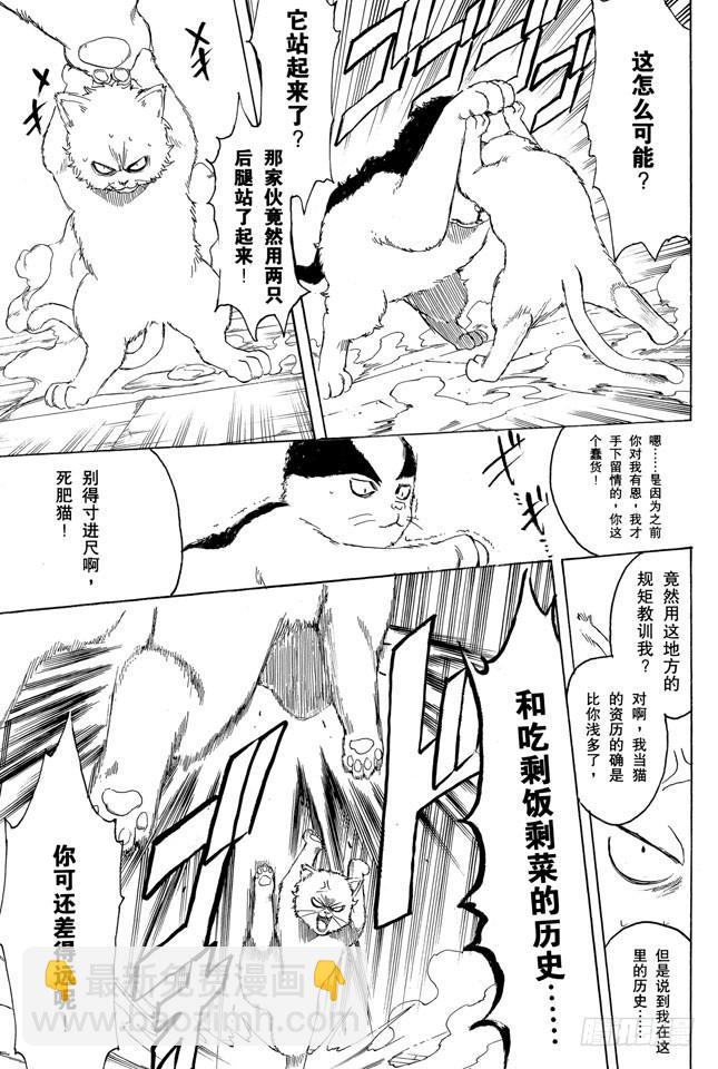 第275话 找东西的时候应该站在对方的立场，设身处地地找12