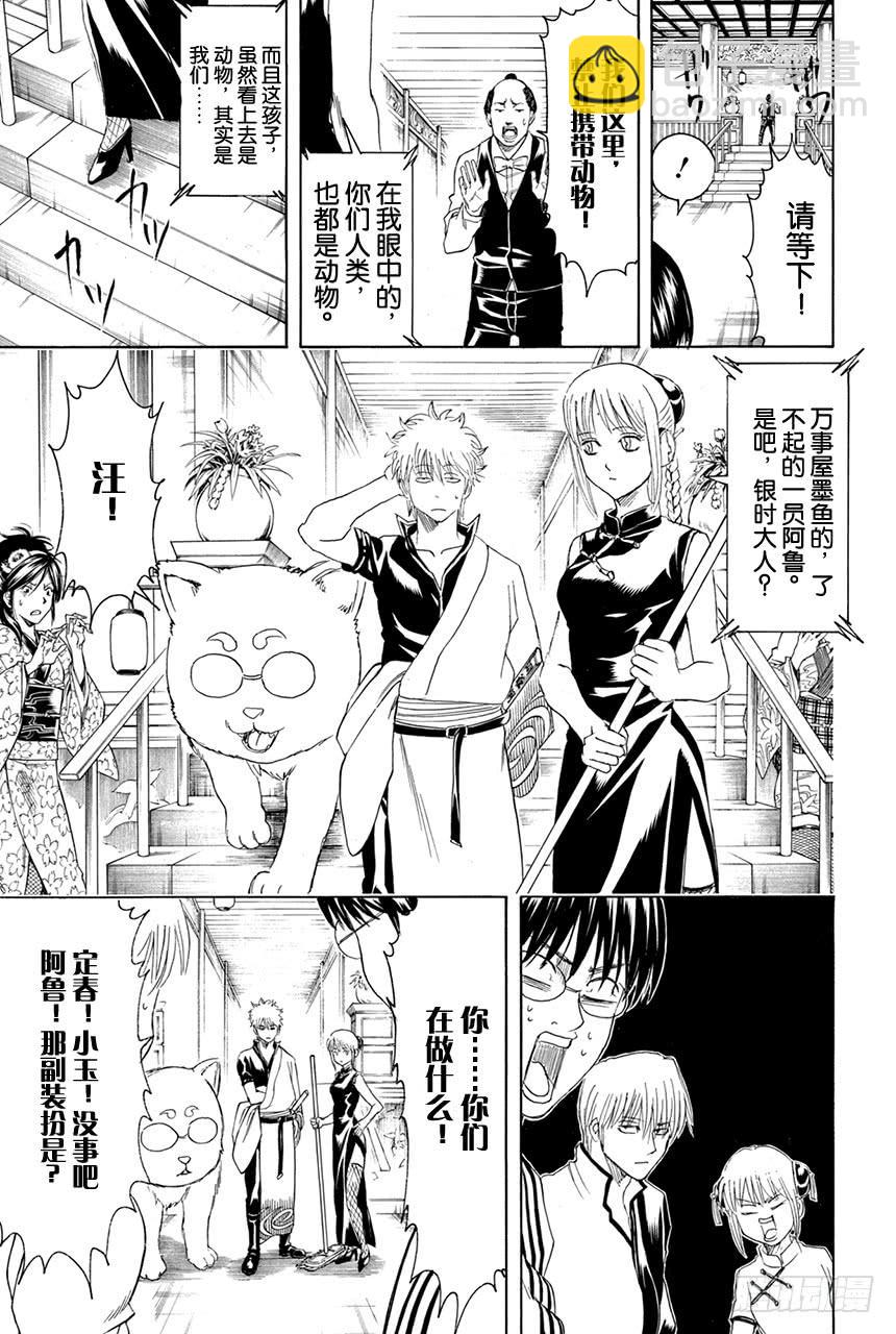 第374话 金或银8