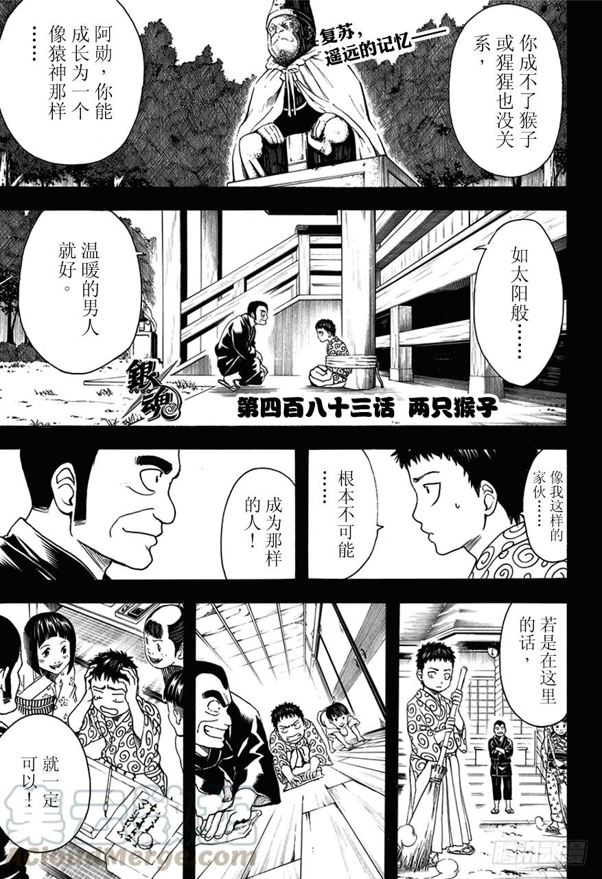 第483话 两只猴子0