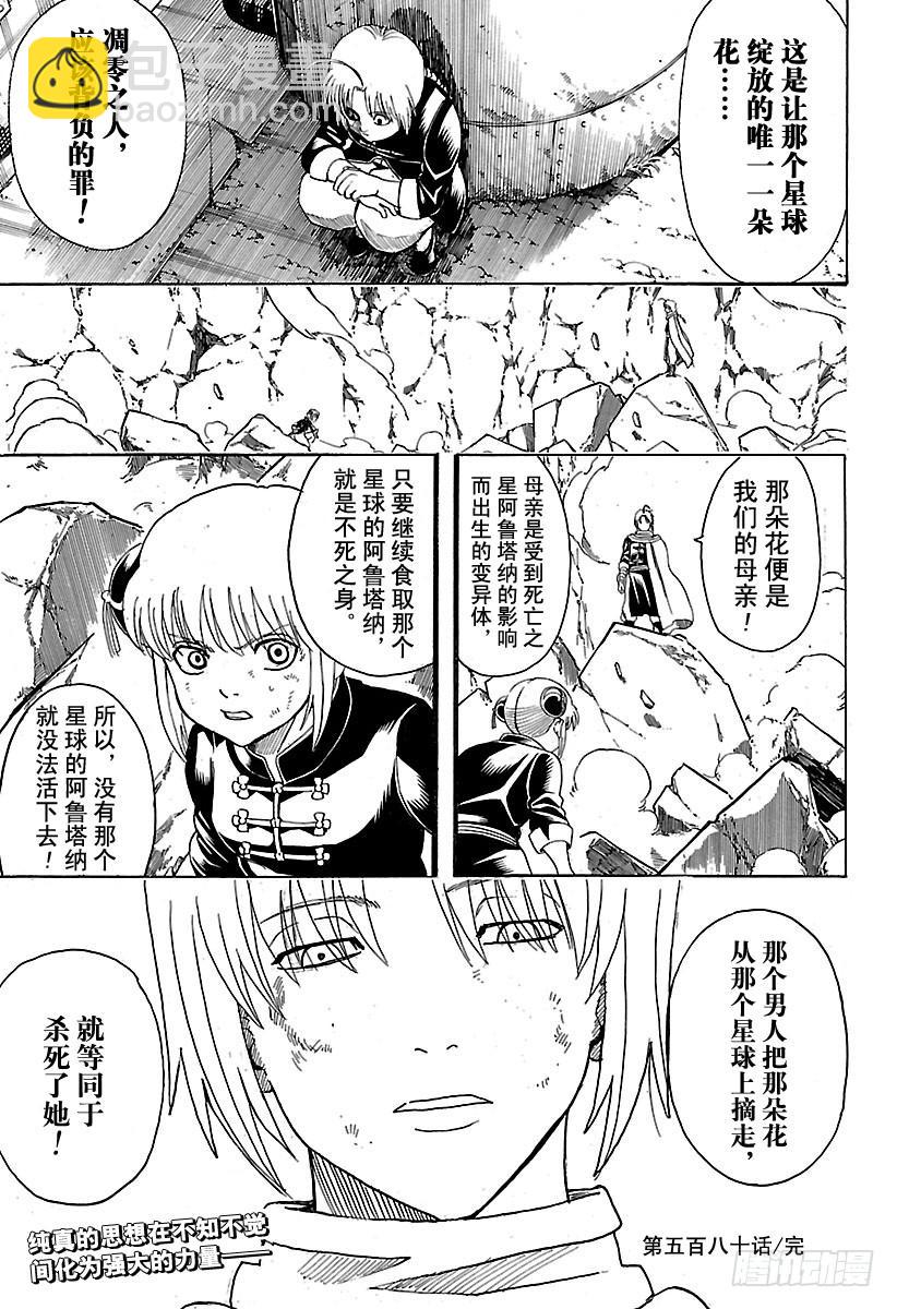 第580话 凋零的花18