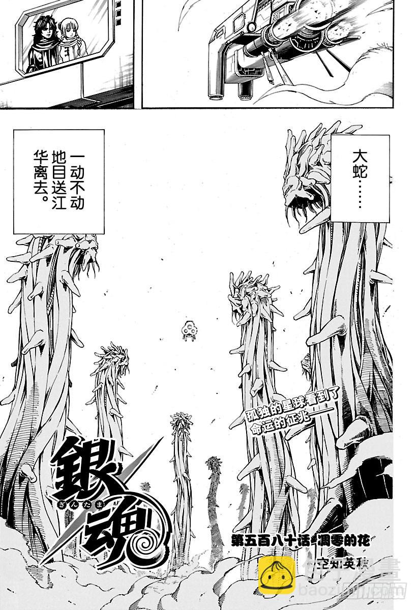 第580话 凋零的花4