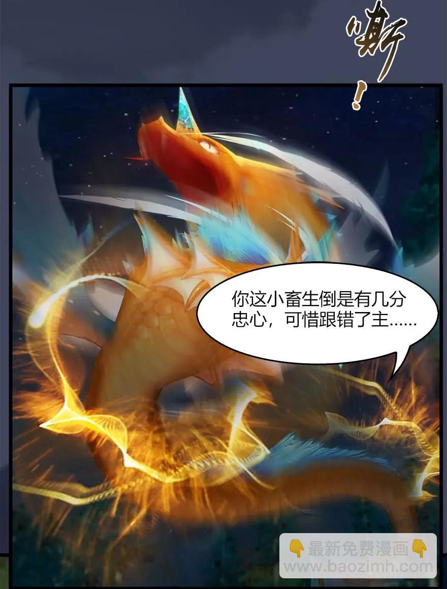071 毛线护主36