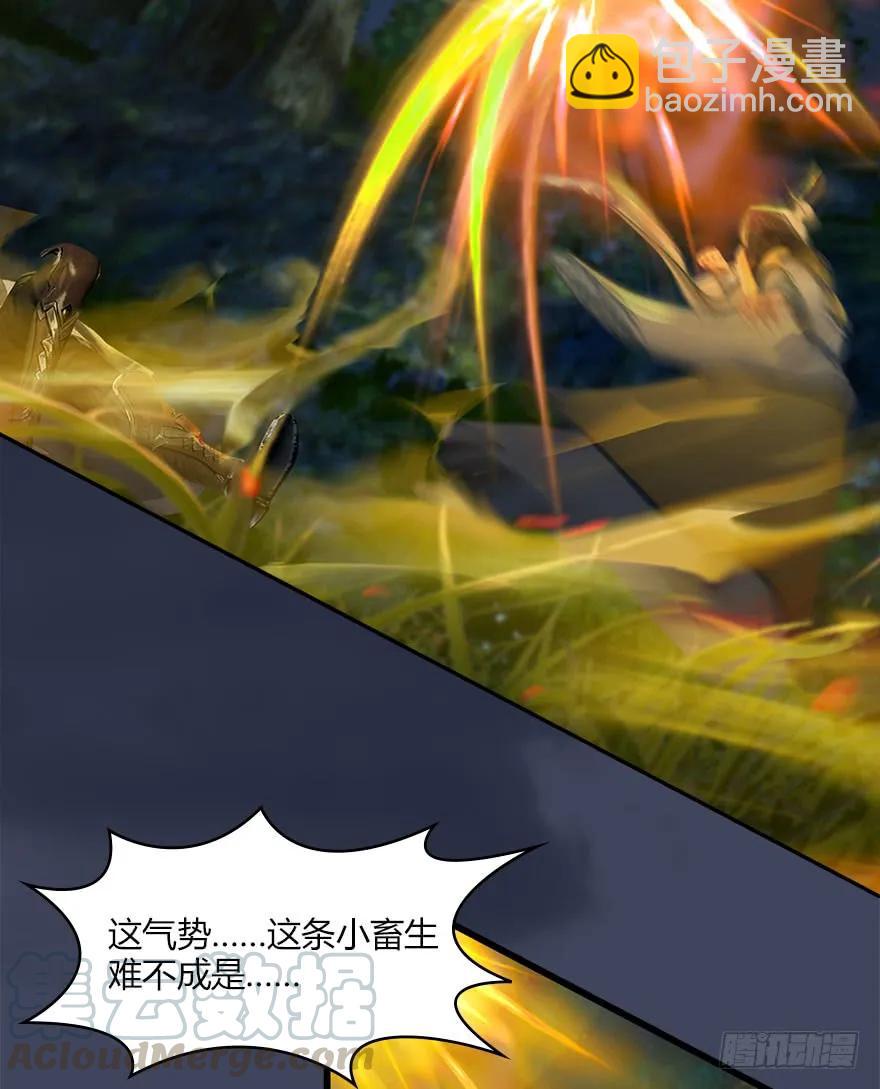 071 毛线护主44