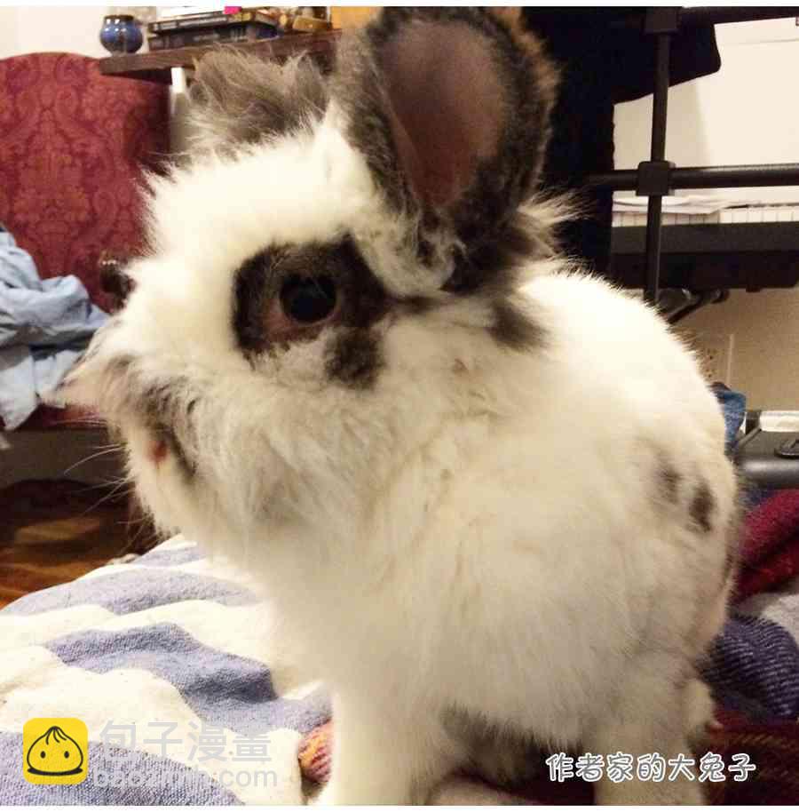 周边32