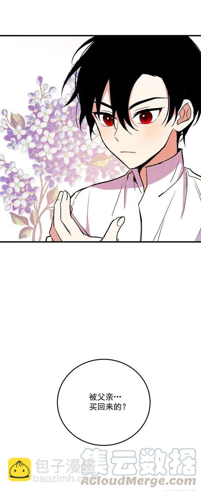 原来是公爵少爷12