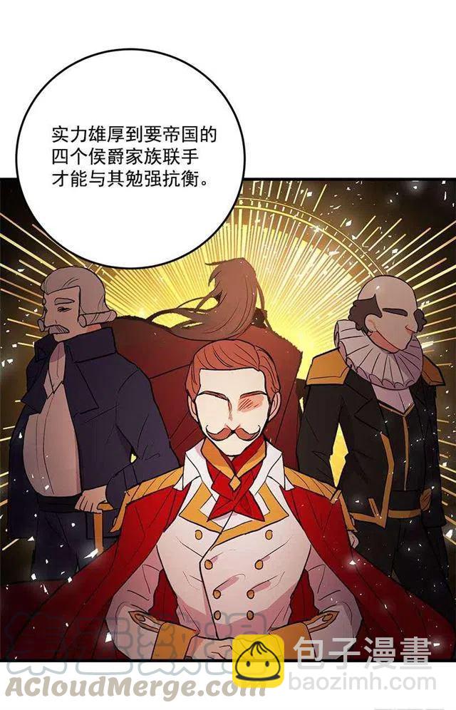 公爵家族的秘密15