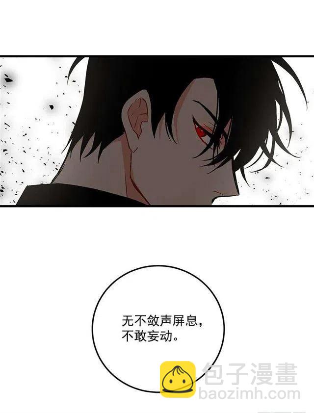 公爵家族的秘密17