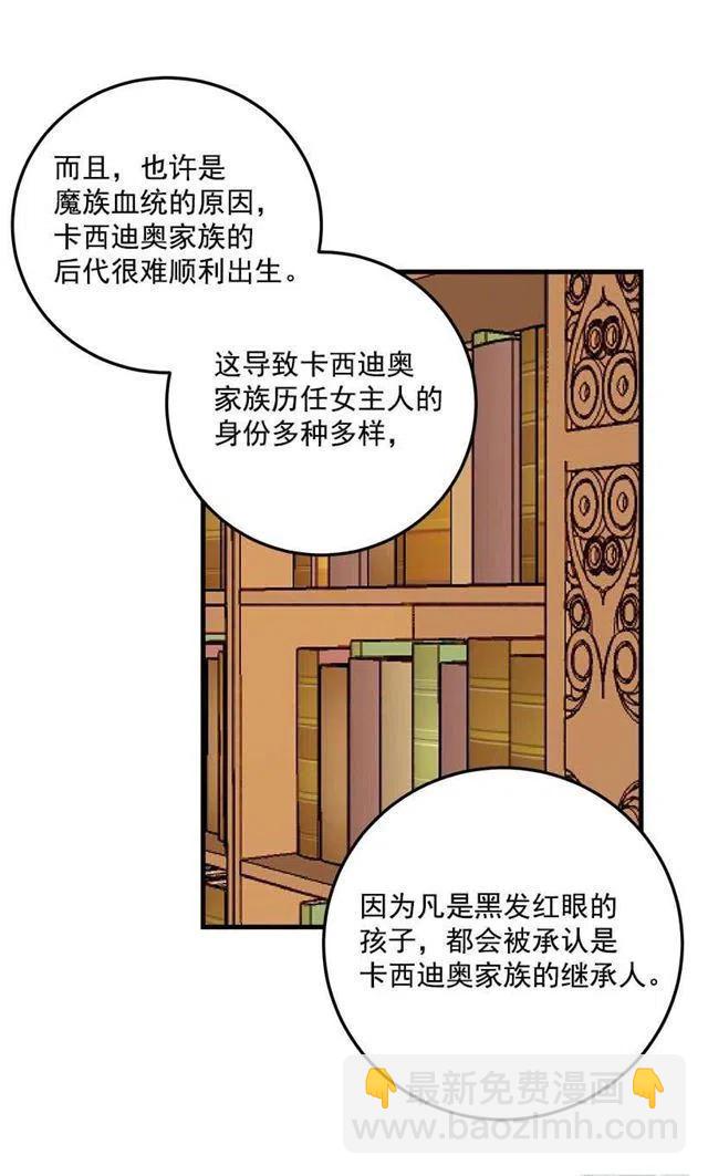 公爵家族的秘密20