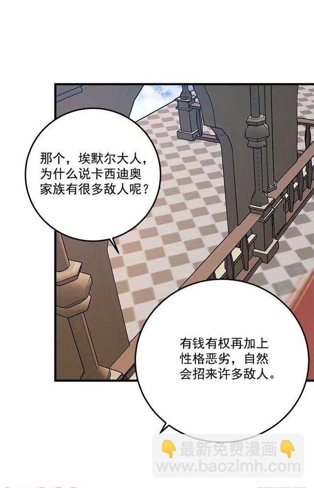 贴身骑士埃默尔10