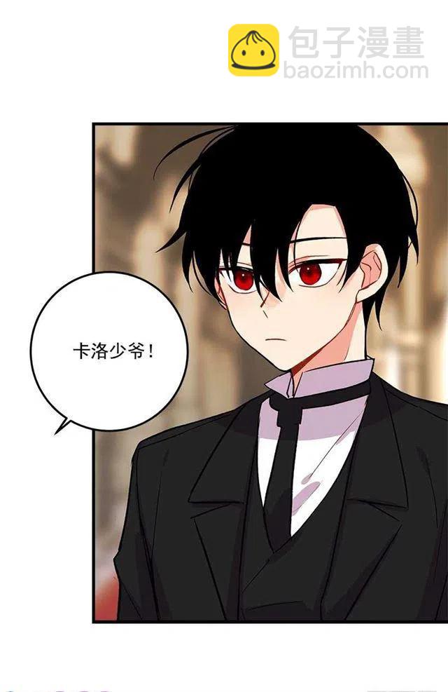 贴身骑士埃默尔26