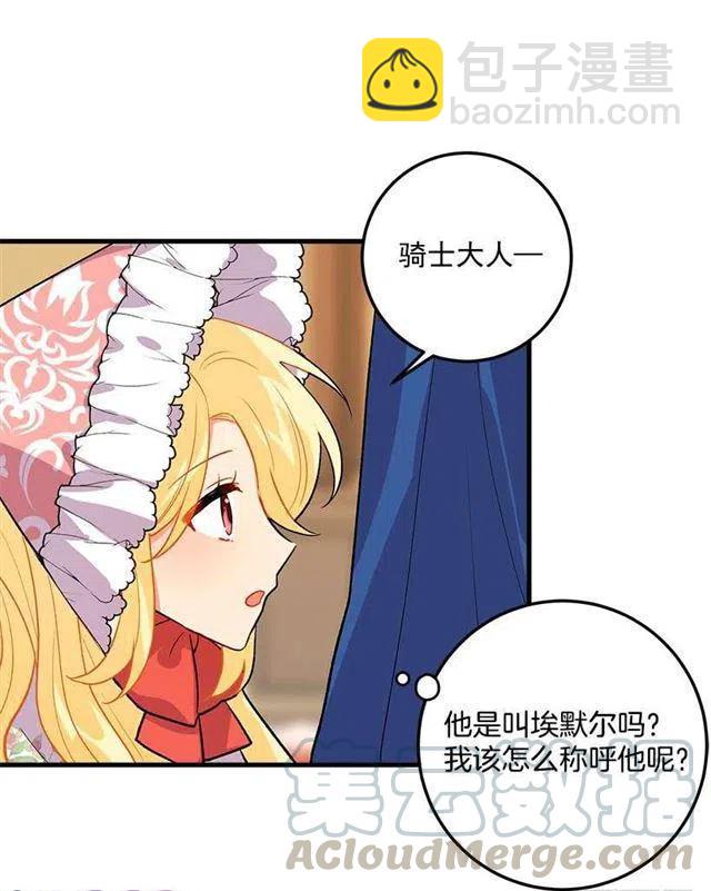 贴身骑士埃默尔3