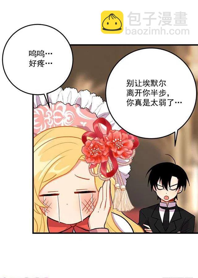 贴身骑士埃默尔35