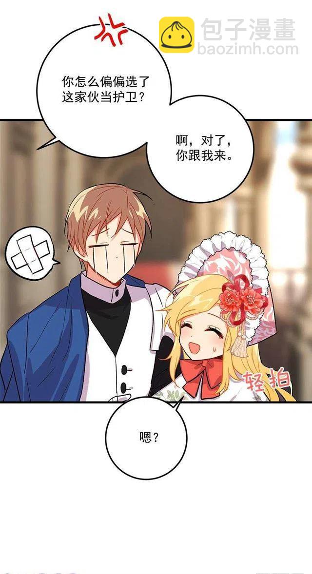 贴身骑士埃默尔41