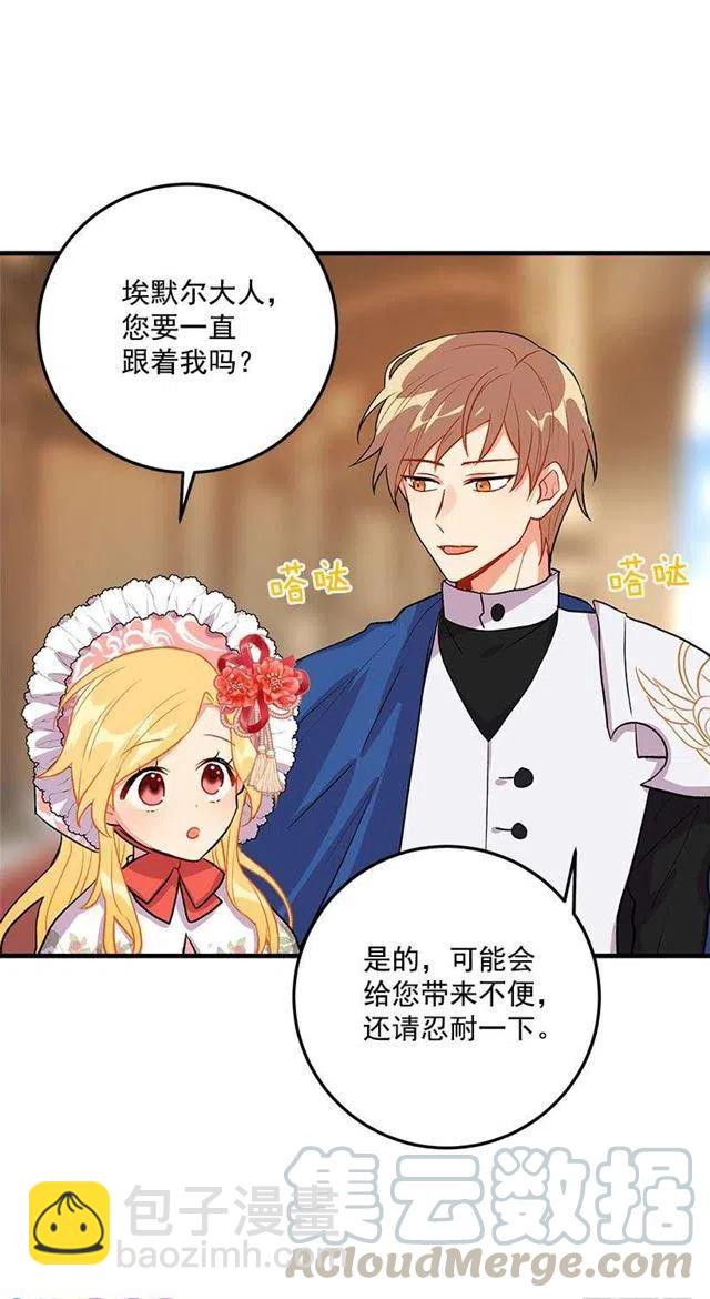 贴身骑士埃默尔6