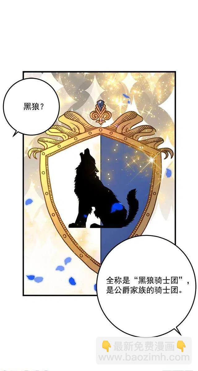 贴身骑士埃默尔8